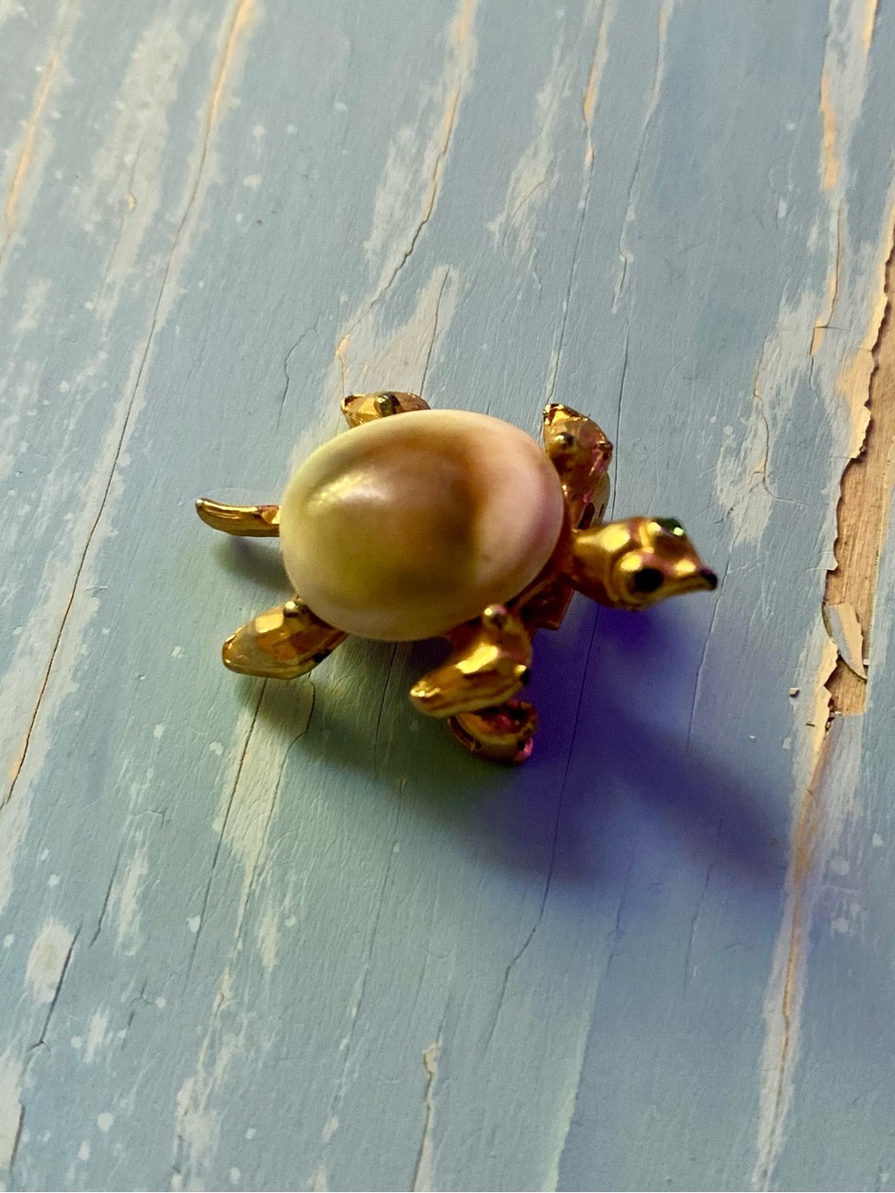 Gold Turtle Shell Brooch - Women Jewelry